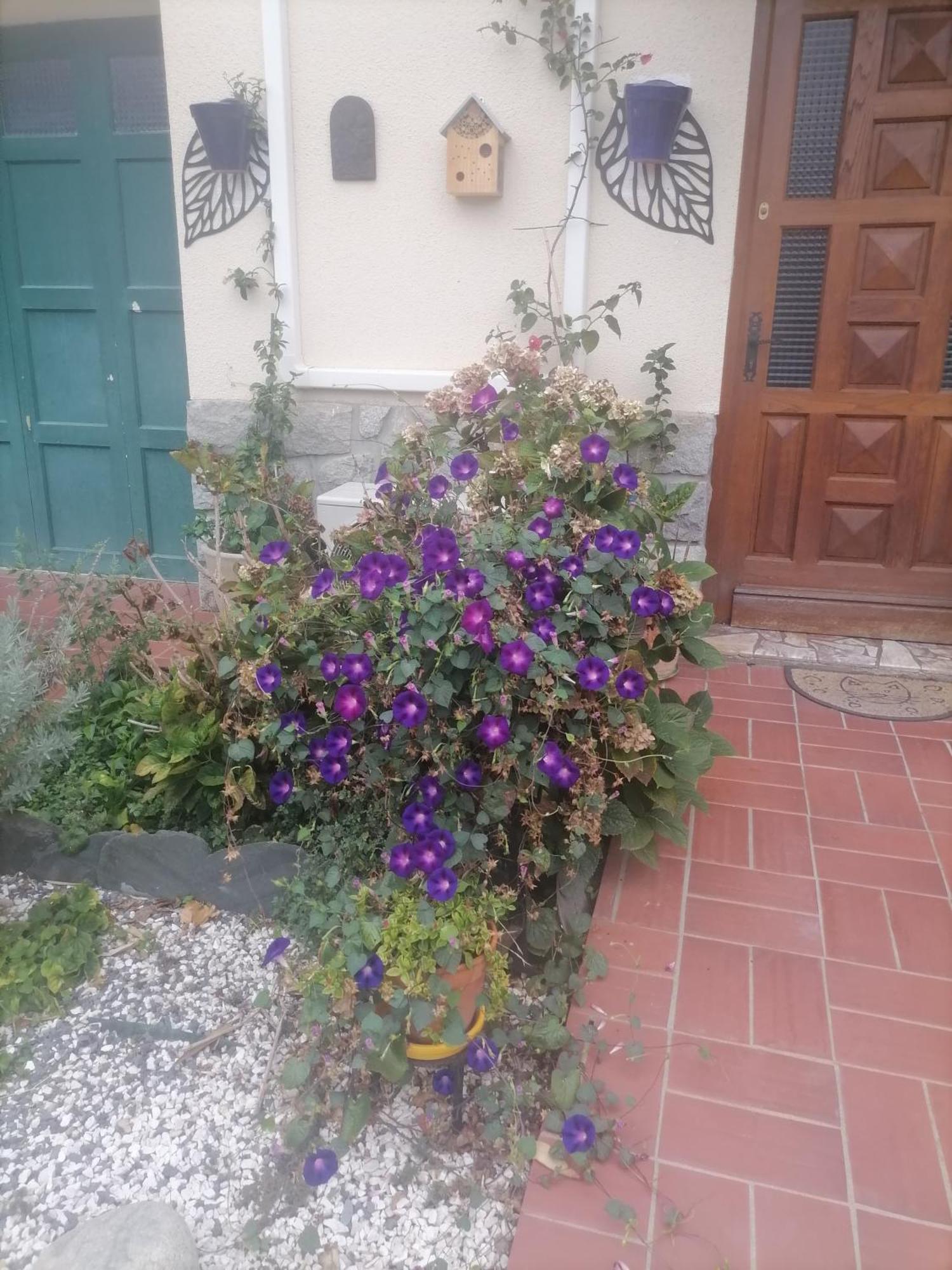 Maison Du Soleil Prades  Εξωτερικό φωτογραφία